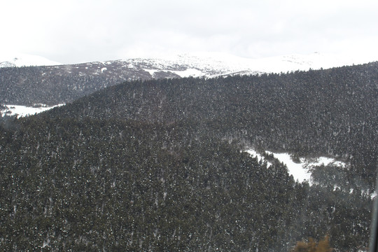 冬季雪山丛林