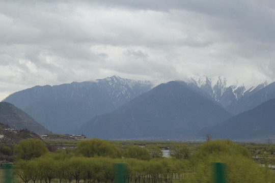 峡谷桃花河流