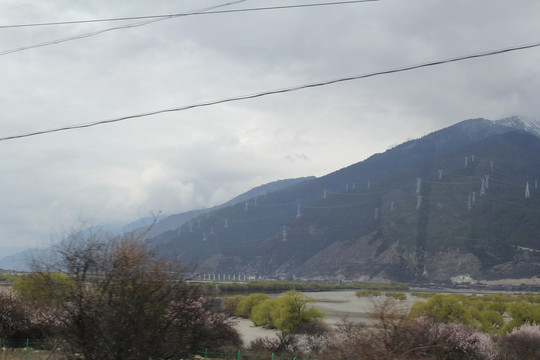 雪山绿植春天