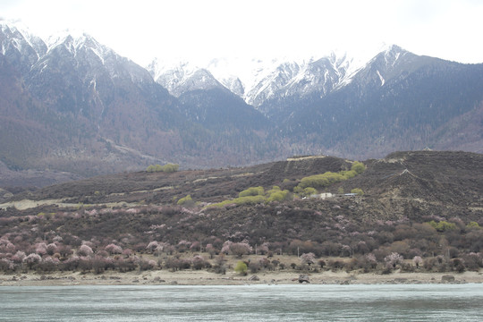 雪山河流