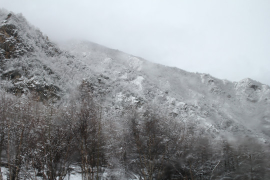 云雾雪山