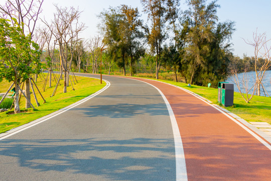 公园散步道路