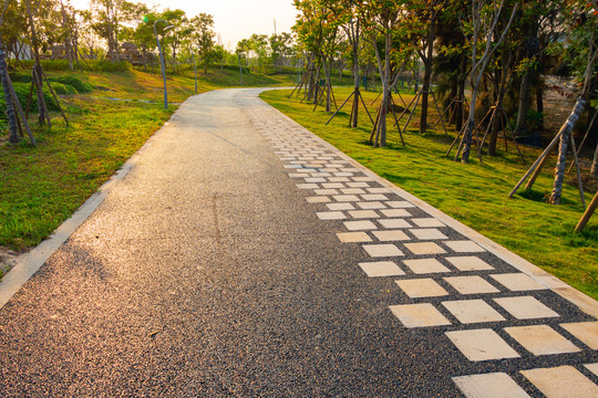 公园散步道路