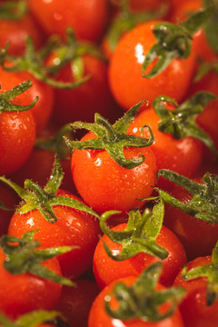 小番茄圣女果棚拍特写