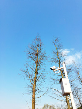 监控摄像头和冬树