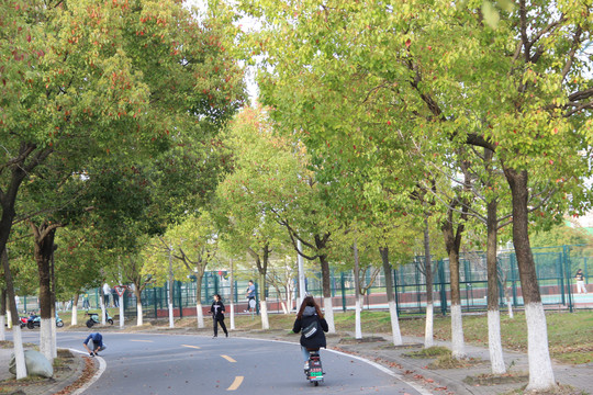 中国药科大学