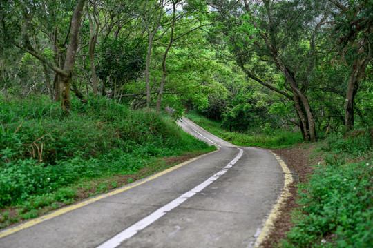 马峦山美丽的坪马线公路