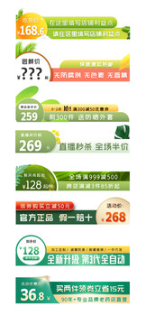 绿色清新春季春茶茶叶食品主图