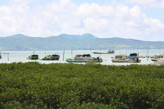 溪边风景