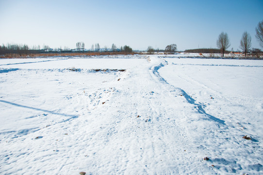 雪地