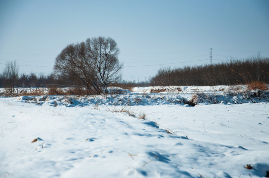 雪地