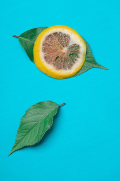 水果摄影新鲜切片柠檬片