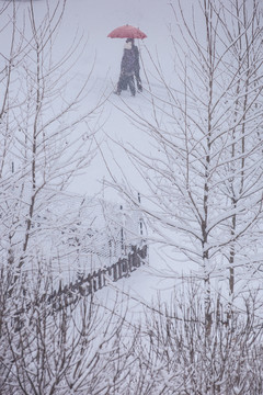 雪景