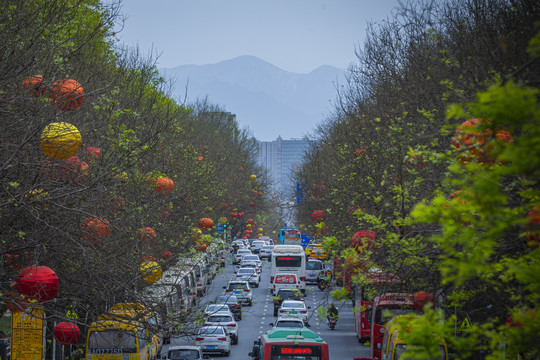 翠华路灯笼路面