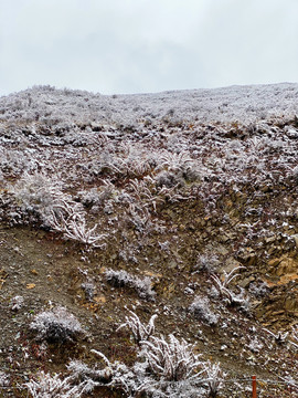 祁连雪山山顶