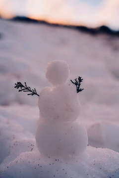 欧洲公园里的小雪人
