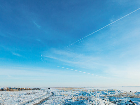 冬季草原蓝天喷气飞机
