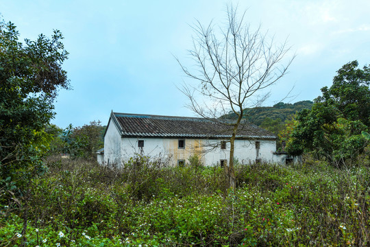 深圳马峦山岭背老房子