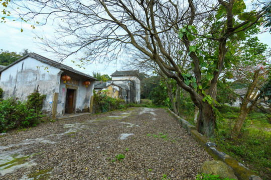 深圳马峦山小村庄