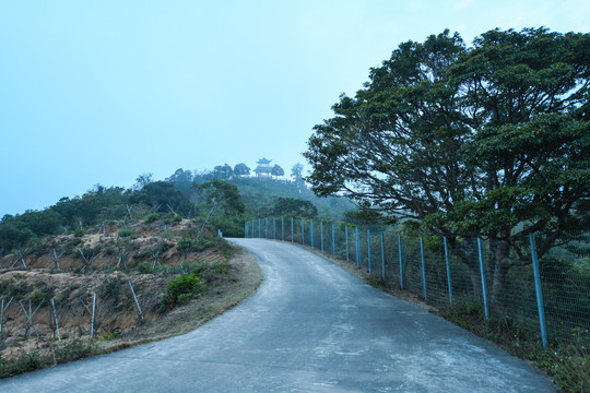 远处的马峦山梅亭