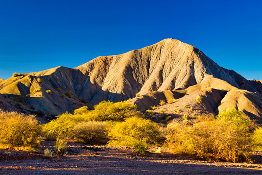 戈壁美景