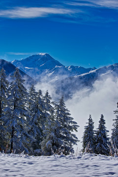 雪景与雪域高原