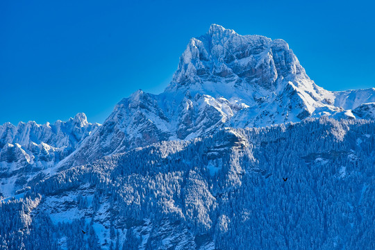 雪山与高原雪景