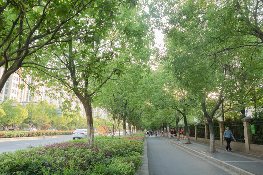 城市街道设施街景路面交通