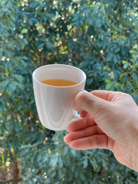 红茶