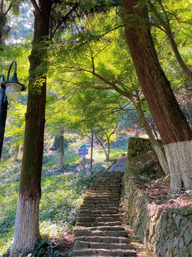 莫干山山路