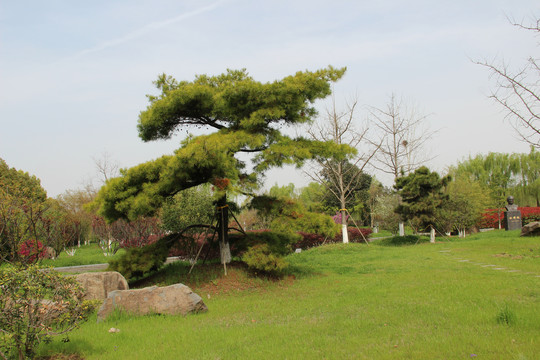 中国药科大学