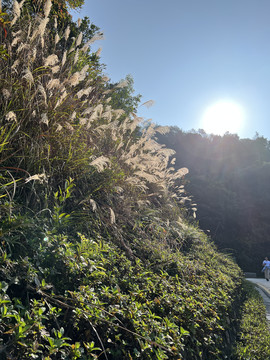 绿道冬景