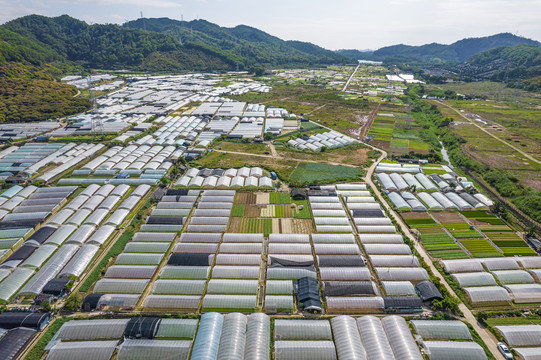 种植基地