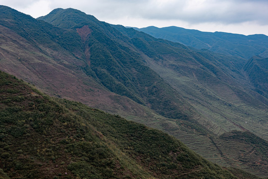 山地山野