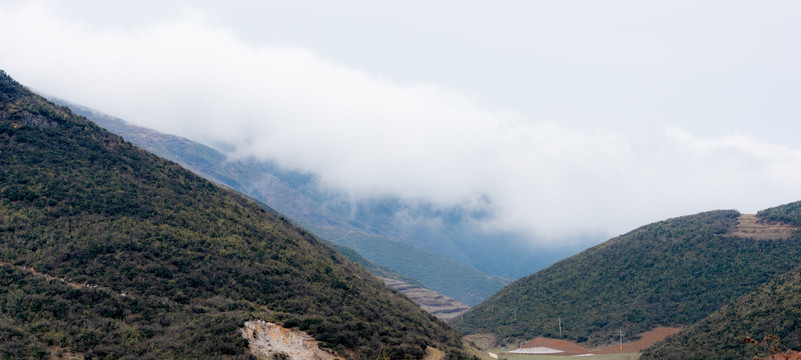 山地山野