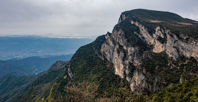 山地山野