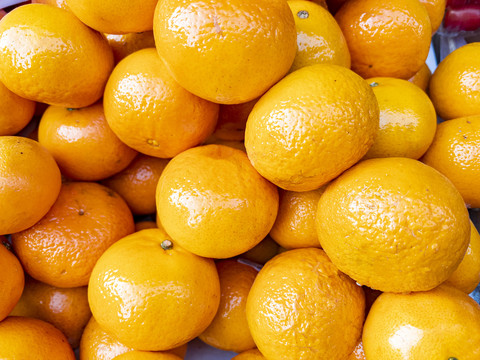 一堆橙子脐橙