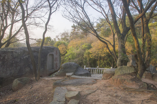 九日山东峰山顶树木石头