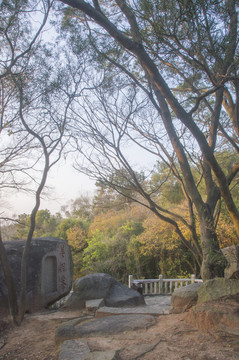 九日山东峰山顶景色