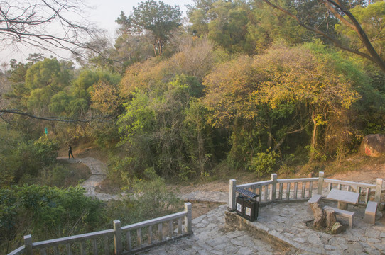 九日山东峰景色