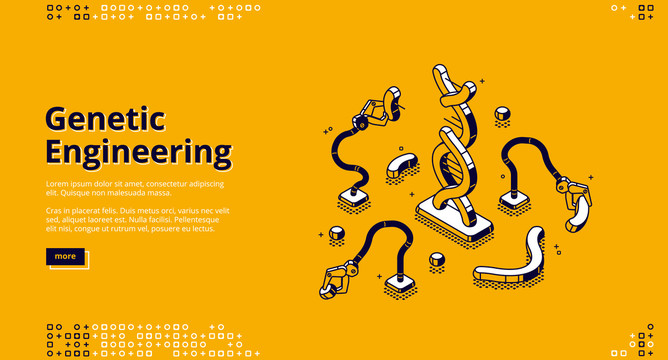 黄色基因工程网站封面