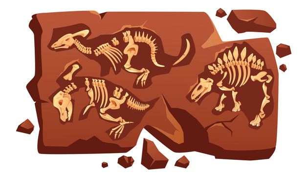 恐龙骨骸化石土壤插图