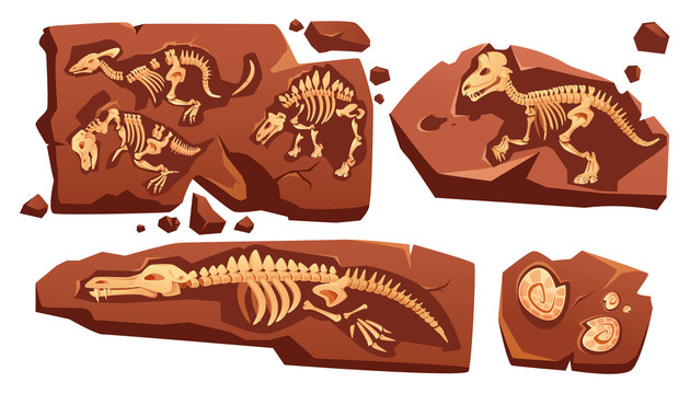 恐龙骨骸土壤插图