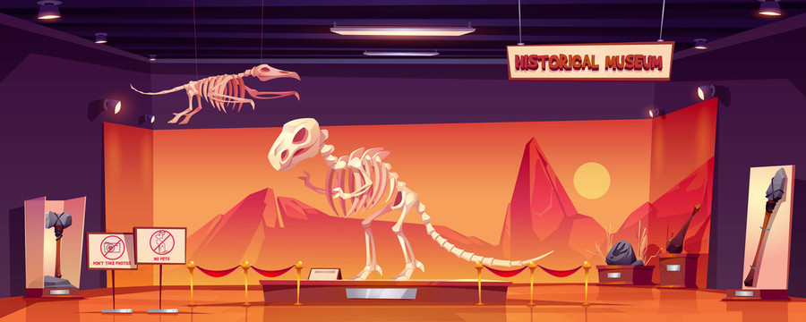 橘色调恐龙历史博物馆插图