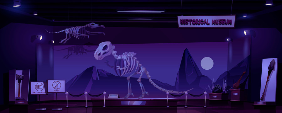 夜晚恐龙历史博物馆插图
