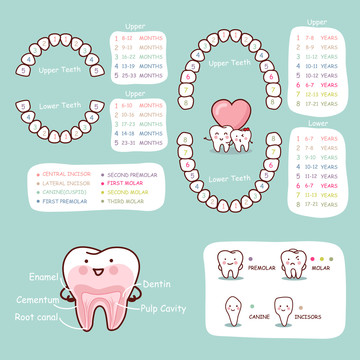 牙医年龄位置介绍插图