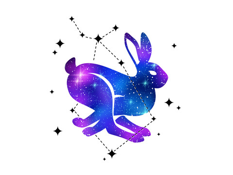 星空感野兔元素