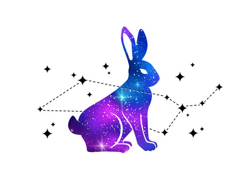 唯美星空感野兔元素