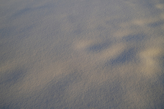 雪景