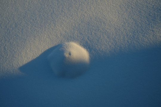 雪景